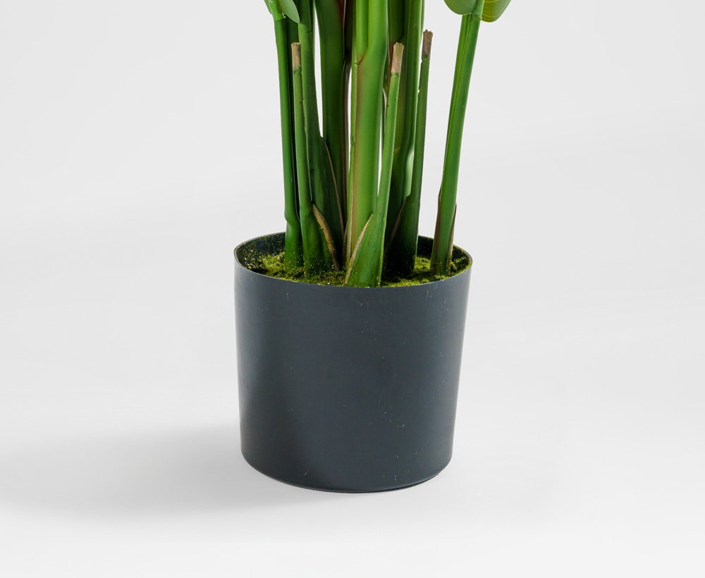 Calvoro - Dekorativer Bananenbaum (90 x 180 cm)