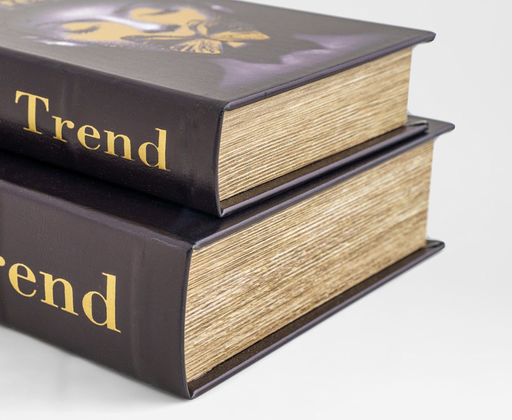 Noir Luxe - Buchboxen-Set in Schwarz & Gold (2-teilig)