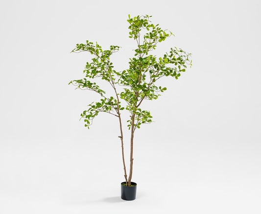 Almira Tree - Dekorativer Mandelbaum (120 x 120 x 210 cm)