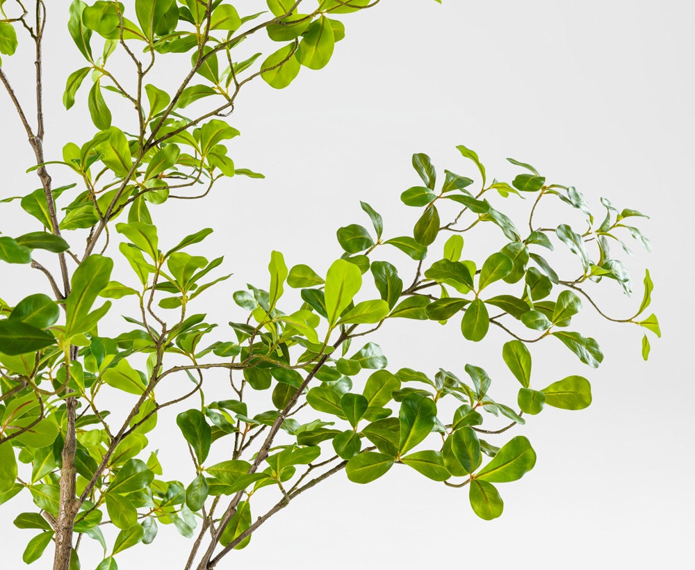 Almira Tree - Dekorativer Mandelbaum (120 x 120 x 210 cm)