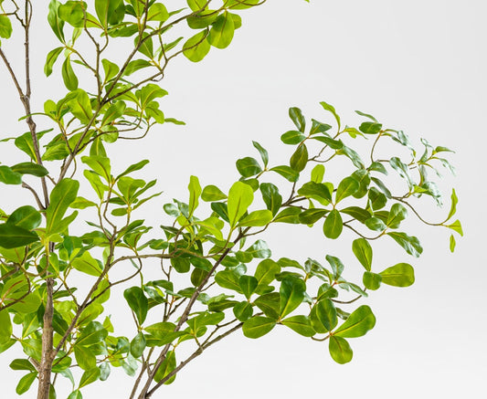 Almira Tree - Dekorativer Mandelbaum (120 x 120 x 210 cm)