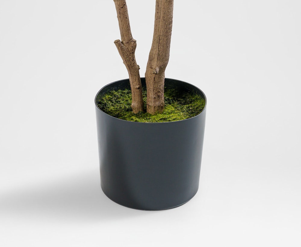 Almira Tree - Dekorativer Mandelbaum (120 x 120 x 210 cm)