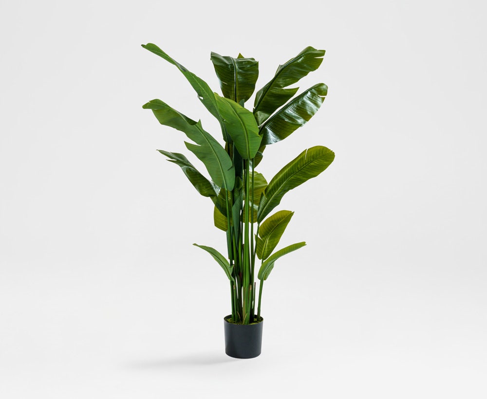 Calvoro - Dekorativer Bananenbaum (90 x 180 cm)