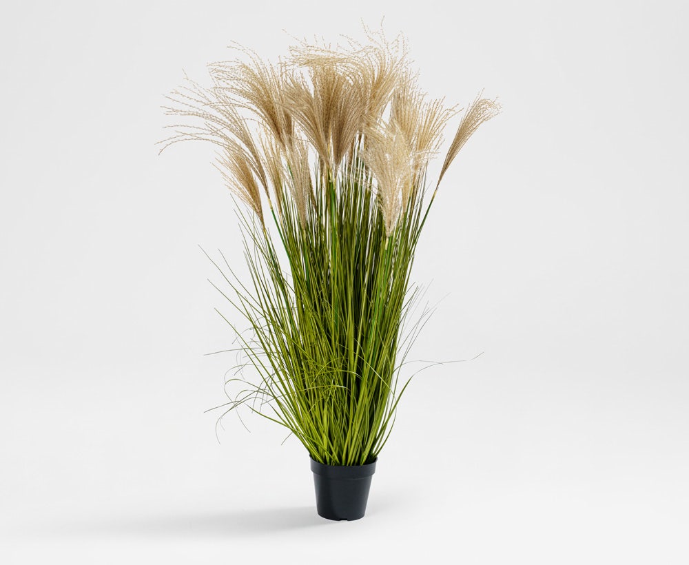 Gramina - Dekorative Ziergras-Pflanze (60 x 119 cm)